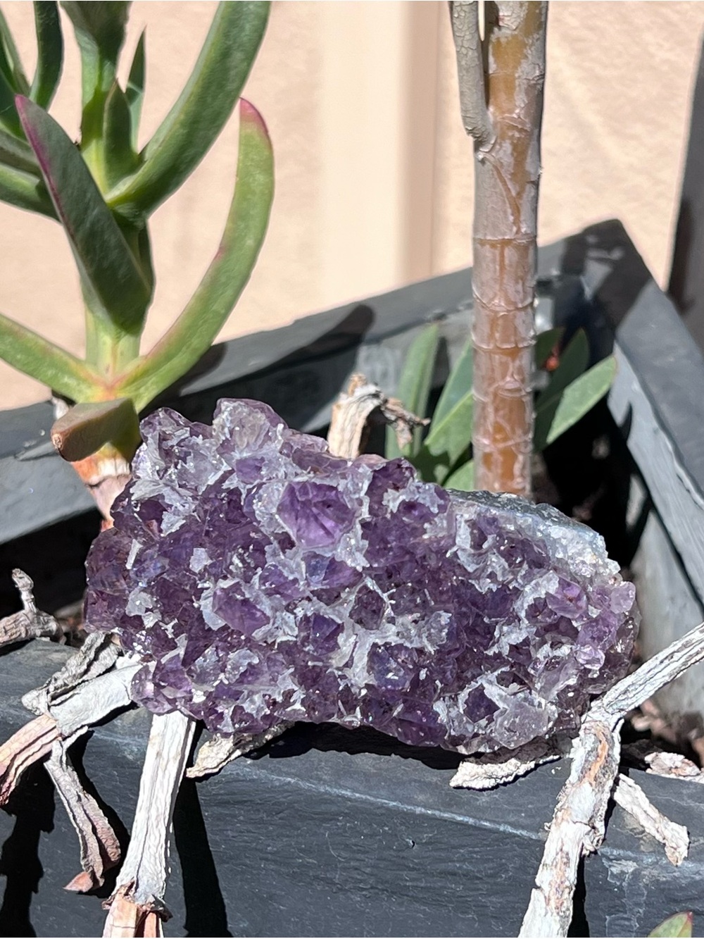 Natural Amethyst Crystal Cluster - Deep Purple Geode